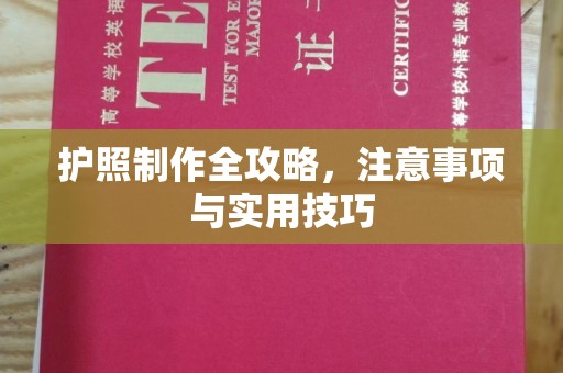 道里护照制作全攻略，注意事项与实用技巧