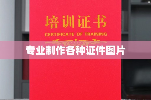 道里专业制作各种证件图片