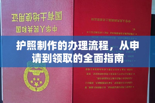 道里护照制作的办理流程，从申请到领取的全面指南