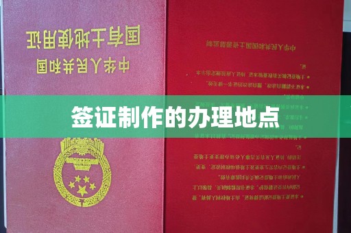 道里签证制作的办理地点