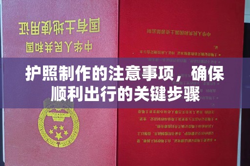 道里护照制作的注意事项，确保顺利出行的关键步骤