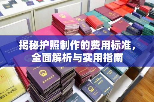 道里揭秘护照制作的费用标准，全面解析与实用指南