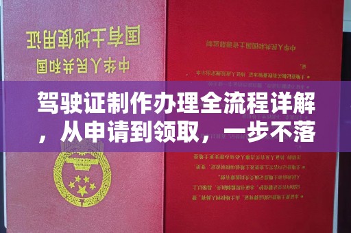 道里驾驶证制作办理全流程详解，从申请到领取，一步不落