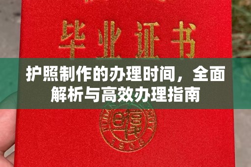 道里护照制作的办理时间，全面解析与高效办理指南